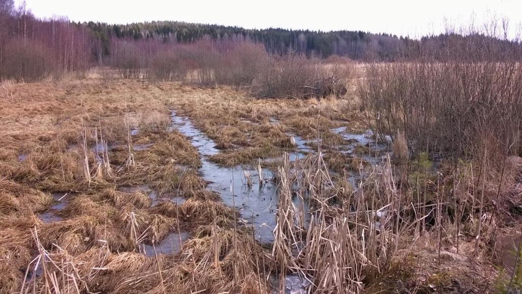 Ojien maastokatselmus Lohjan Hormajärven valuma-alueella 20.04.2017 Pöyryn oja (Sarventie 11) Laatinut: Timo Niemelä, ProAgria suurin Hormajärveen laskevista valuma-alueista (n.