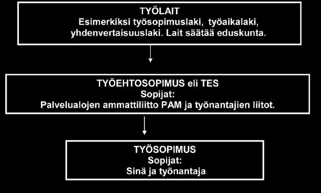 Vastaukset löydät luvun lopussa olevasta vastausliitteestä. Työlaki työehtosopimus työsopimus Työlait Työn tekemistä Suomessa määrää monet lait.