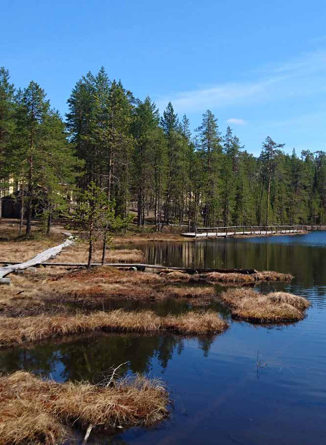 hyödynnettiin monipuolisia menetelmiä, joiden