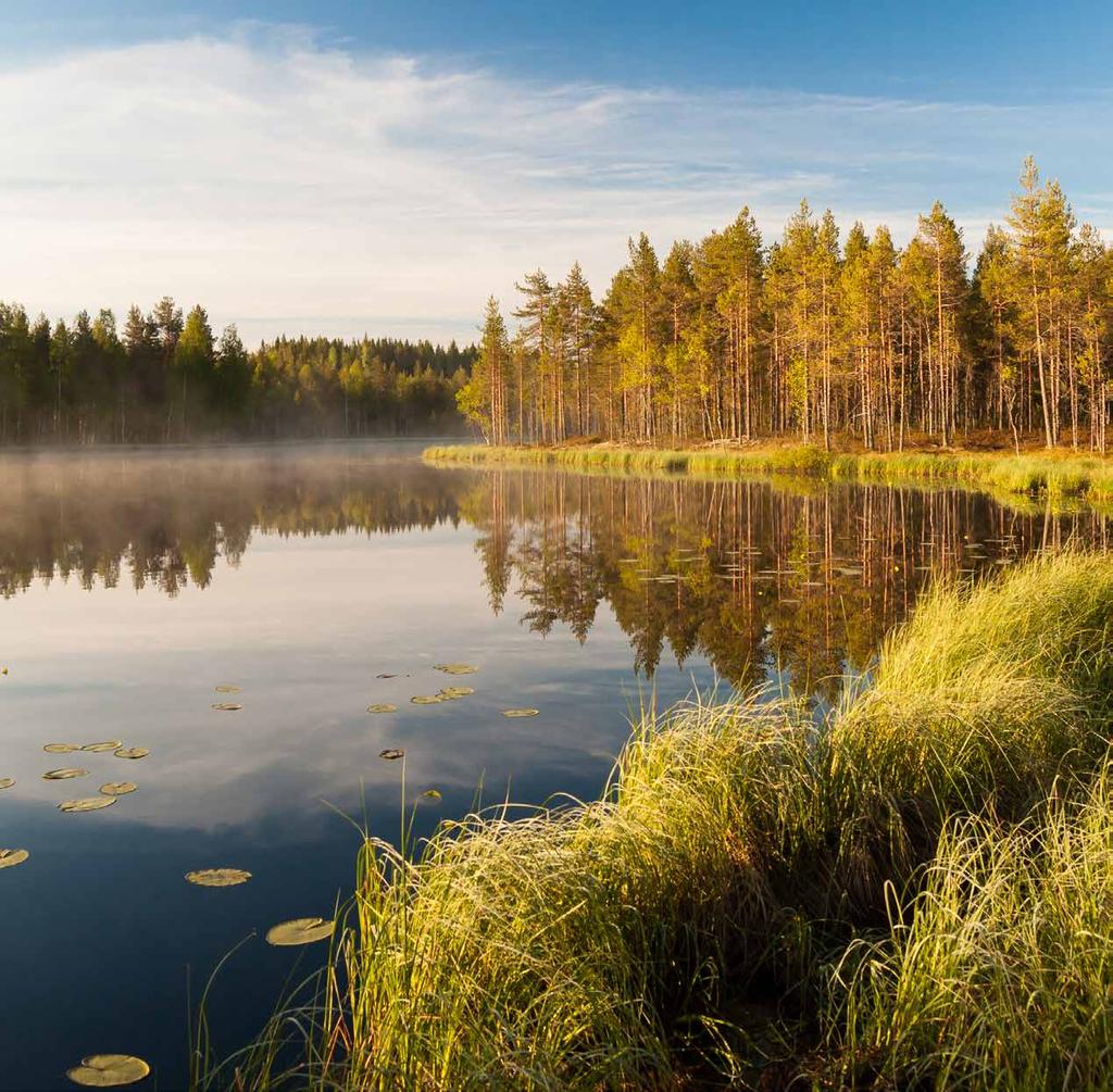 YMPÄRISTÖ Tononille ekologisuus ei tarkoita vain tuotannon ja toimitusten mahdollisimman suurta