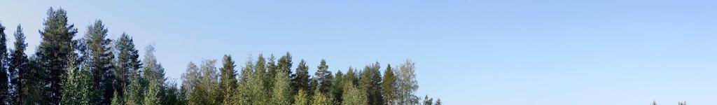 kautisia irtolöytöjä tunnetaan myös Polvijärven kirkonkylän koillispuolelta n. 6 km tutkimuskohteesta länteen. 9 Kuva 6.