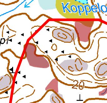 1. Korpipainanne [ ] Kasvillisuuskuvaus: Pääosin lehtipuita kasvava korpipainanne, jossa on ruohokorven piirteitä, mutta sitä ei voida tyypitellä kunnolla.