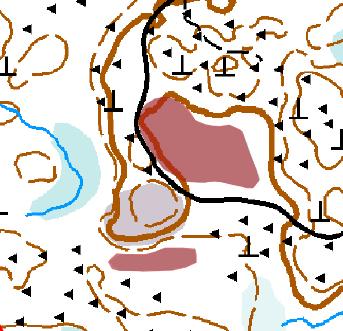 8. Isovarpuräme (IR) [NT] Kasvillisuuskuvaus: Tien läheisyydessä oleva isovarpuräme, jossa kasvaa mäntyjä sekä vähäisesti koivuja.