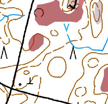 37. Ruohokorpi (RhK) [EN] Kasvillisuuskuvaus: Pieni ruohokorpi, jossa mättäillä kasvaa koivuja, kuusia ja tervaleppiä.