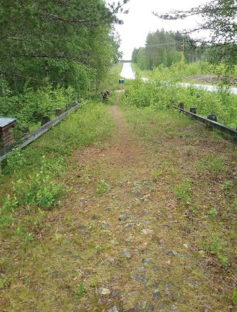 Vuonna 2006 sillan tiepenkereen pinta on jokseenkin nurmeton Edelliseen kuvaan vertaamalla näkyy muutos tiellä vuosikymmenen aikana Kuvassa oikean puoleisessa luiskassa näkyy puuraput, jotka on tehty