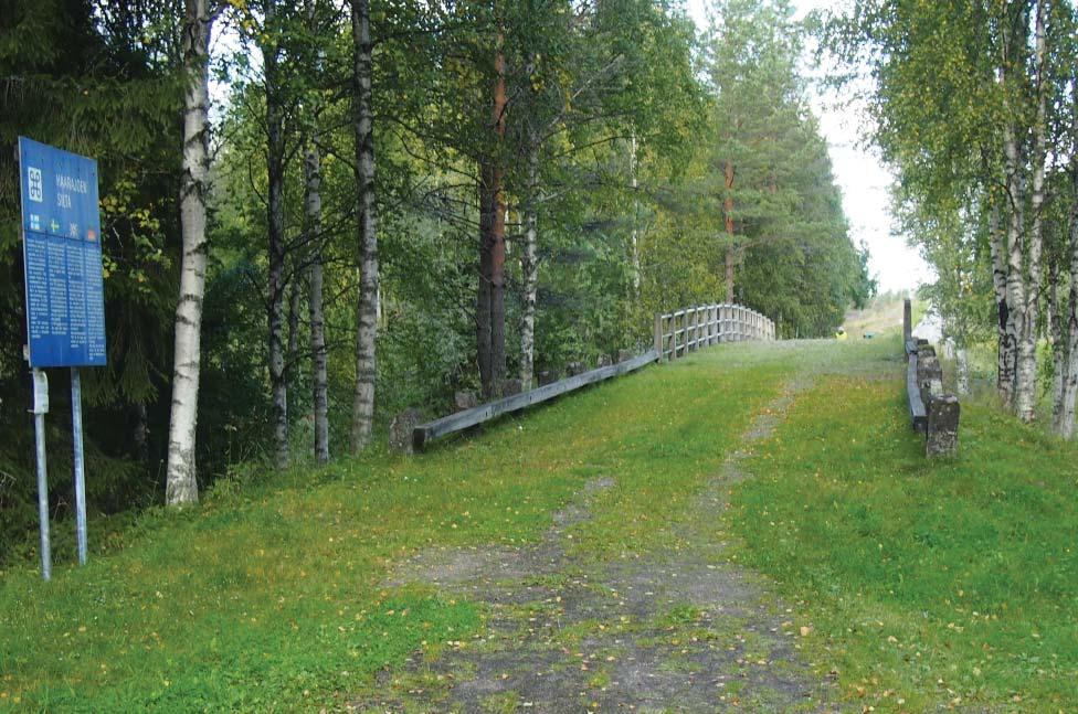 juuristo tuhoaa Kuva Jyrki Tervonen 2016/Mobilian arkisto Alempi kuva syyskuussa 2017 näyttää monin osin samalta kuin vuotta aikaisemmin Nurmikko on vallannut alaa jonkin verran lisää Polku sillan