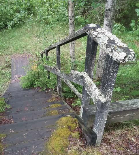 243 Tien ja museosillan nykyinen kunnossapito Tien ja sillan kunnossapidosta vastaa Pohjois-Savon ELY-keskus Kunnossapidon aluevastaavana toimii Jarmo Puharinen Silta sisältyy Ilomantsin