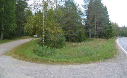 Näkymä maantien ja pysäköintialueen välialueelle Kuva Laura Soosalu Oikeanpuolisin koivu poistetaan sillan rakenteellisen kunnostuksen vuoksi, vasemmanpuoleisten säilyttäminen arvioidaan maastossa,