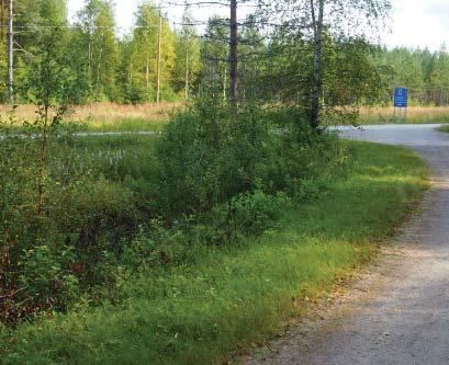 323 Viitoitus ja opasteet Museosillalle johtavat opasteet ja varsinainen opastaulu uusitaan Alueelle viitoittavat