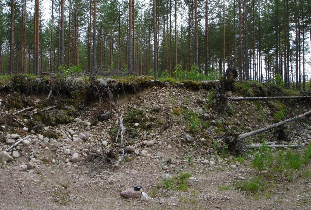 Etelä-Savon kiviaineshuollon turvaaminen 175 Maastokäynti ja alueen kuvaus (Tapio Väänänen) Tienumero 4174 eteläpuolella oli pieni ottoalue, jonka koko oli noin 15 x 25 m 2 (kuva 3).