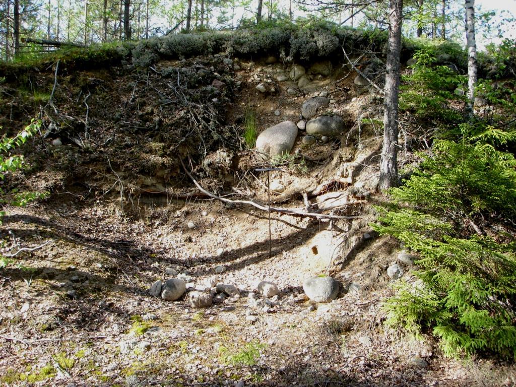 Etelä-Savon kiviaineshuollon turvaaminen 176 Kuva 4. Essuonlammen itäpuolelta kulkevan harjuselänteen hiekkavaltaista valunutta ainesta. Kuva Tapio Väänänen / GTK.