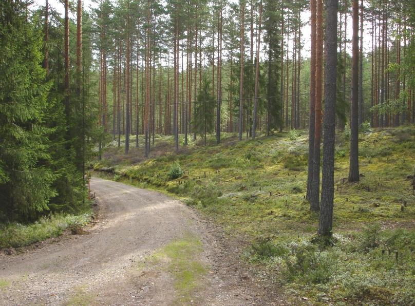 Pinnalla on lohkareita ja kiviä. Aines on todennäköisesti A-B-luokkaan kuuluvaa.