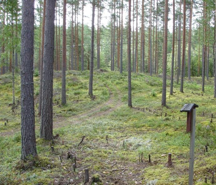 Maastokäynti (Tapio Väänänen) Muodostuma oli lähes luonnontilainen harju, joka sijaitsee Sarkaveden salmien ja lampien ympäröimänä.