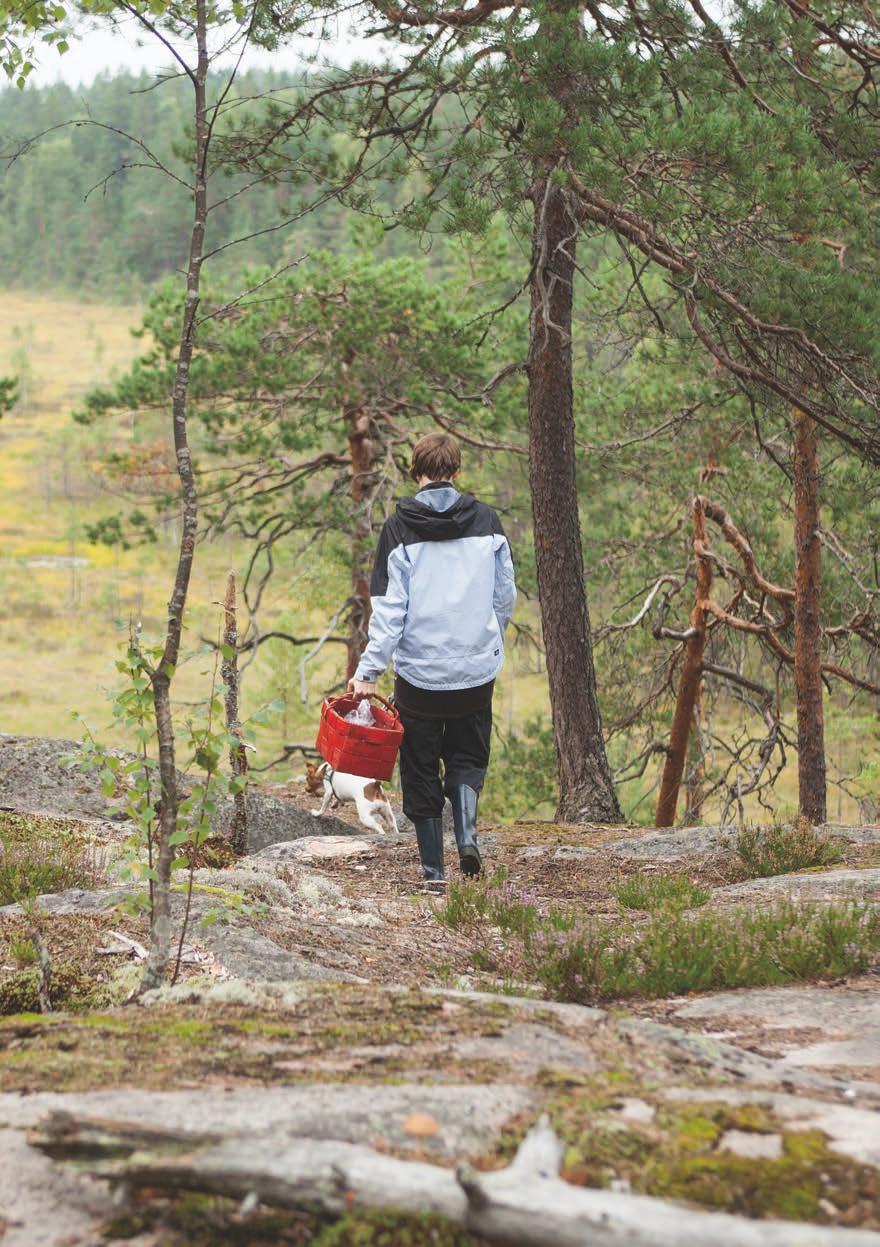 ELÄMÄNLAATU- VAIKUTUKSET ATOOPPINEN IHOTTUMA on pitkäaikainen krooninen sairaus, jolla voi olla merkittäviä vaikutuksia elämänlaatuun iästä riippumatta.