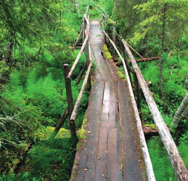 Metsähallituksen