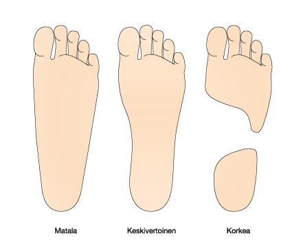 dorsifleksion välillä on noin 70 astetta.