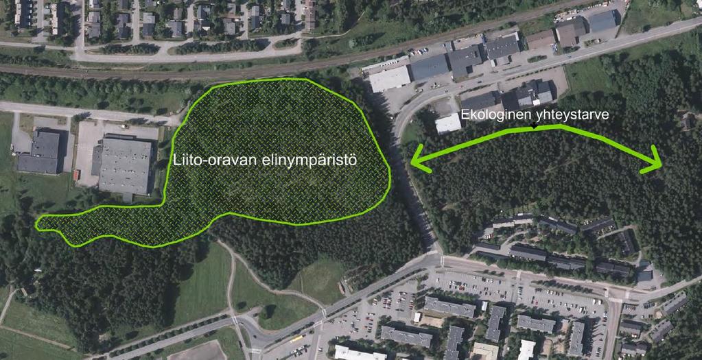 6 Liito-oravien elinympäristöt suunnittelualueella 2015.