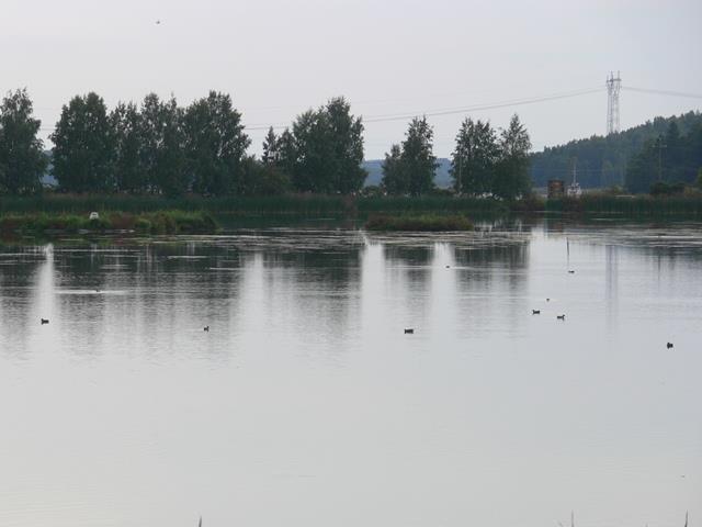 fosfori 450 µg/l, Näkösyvyys >80 cm (pohjaan), paljon uposkasveja, isoja Daphnia vesikirppuja