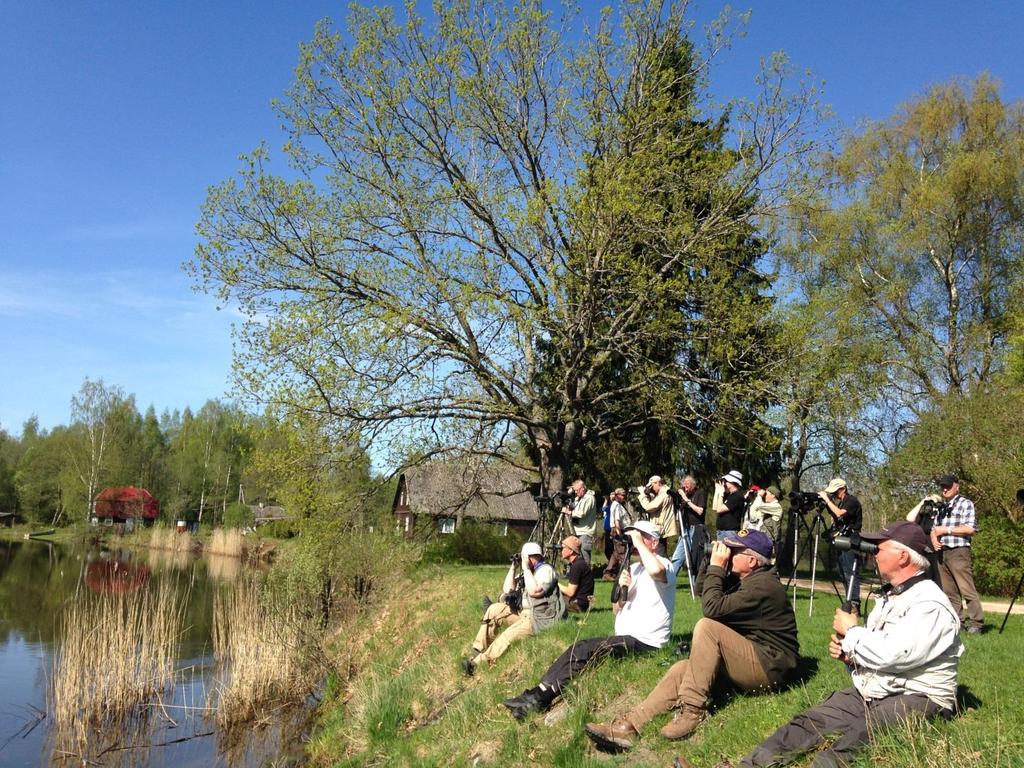 Palupõhjan kylässä Emajoen rannalla on kevät jo pitkällä. Valok. Kati Grönholm-Kulmala.