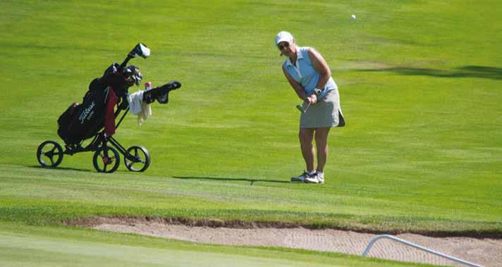 Suomen Golfseniorit vastaa kaikista valtakunnal lisista seniorikisoista.