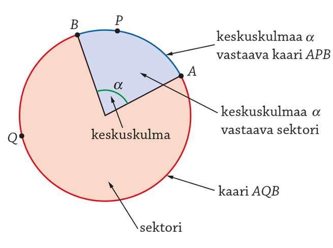 TERMEJÄ 3. Keskuskulma on kulma, joka muodostuu kahden säteen väliin. Keskuskulman kärki on ympyrän keskellä. Esim. 4. Kaari on ympyrän kehän osa. 5.