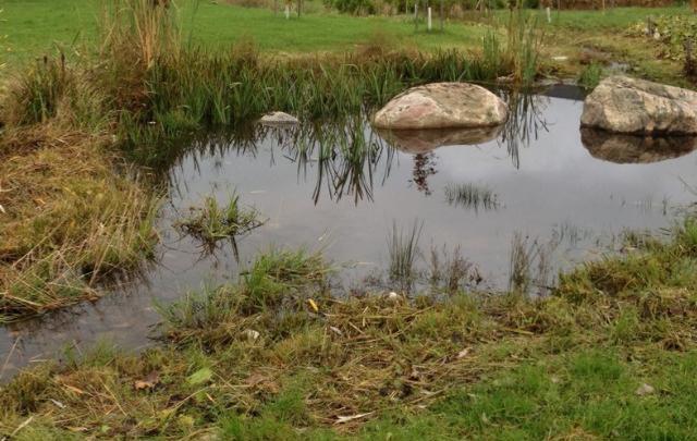 Hankesuunnitelma Lahden, Helsingin,