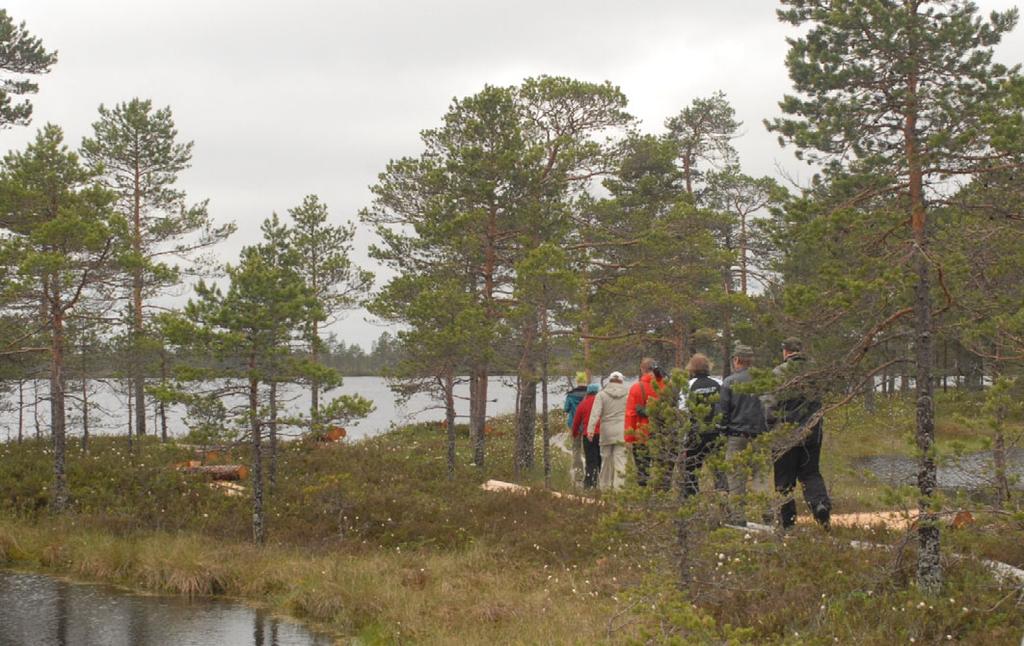Terttu Konttinen Kauhanevan Pohjankankaan kansallispuiston