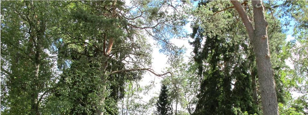 KUVAUS Muistomerkki on kiiltäväksi hiottu, leveä vaakakivi, jonka vasemmassa päädyssä on pystykivi. Pystykivessä on reliefinä kaksi ylös kohotettua kättä ja niiden yläpuolella kruunu.