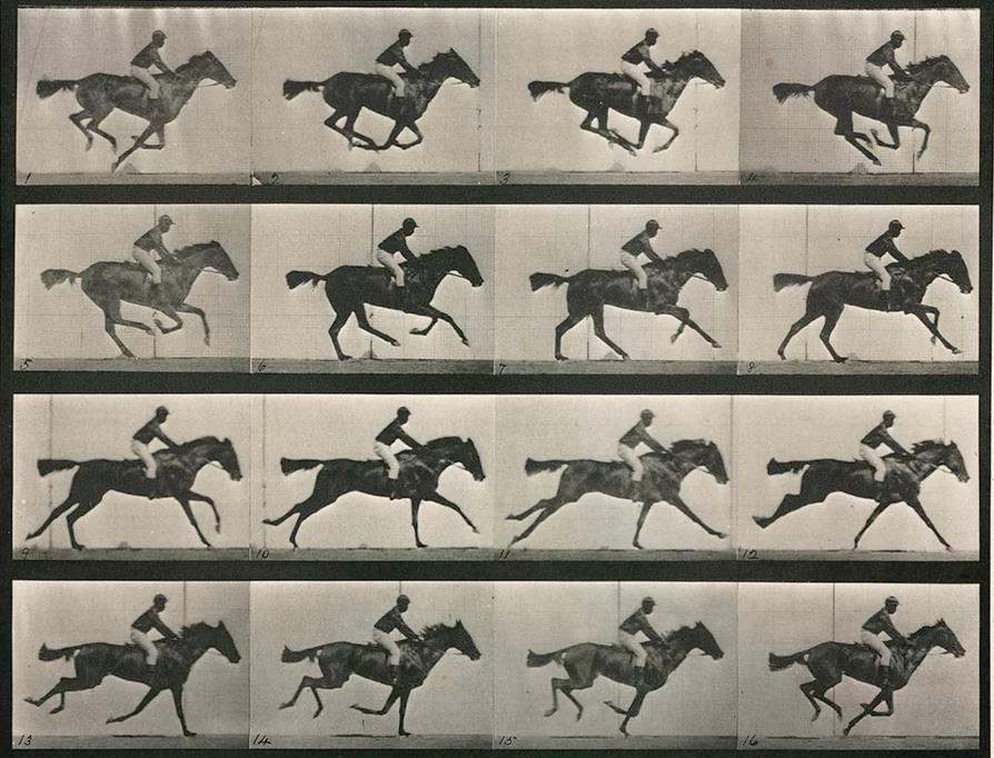 KUVA 7 Eadweard Muybridge: The Horse in Motion. Valokuvasarja, 1878.