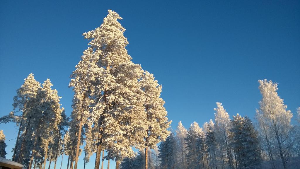 Edistämme kestävää ja