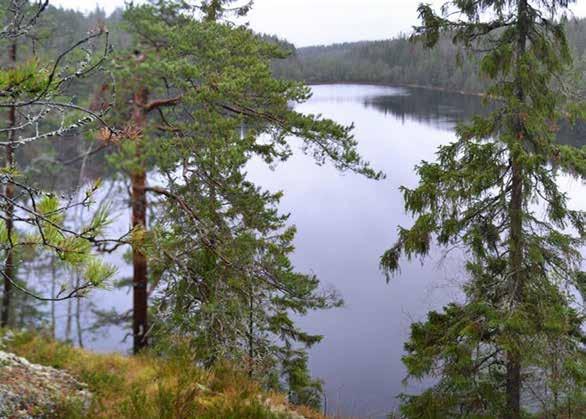 Keväinen ulkoilupäivä Pirttimäessä la 26.05.2018 Retken kohteena on Pirttimäen ulkoilualue Espoossa. Lähdemme retkelle Impivaaran uimahallin pysäköintipaikalta lauantaina 26.05.2018 klo 8.