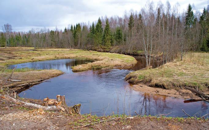 Nojah, kui kusagile Misso asula vahele peaks ühtäkki mõni must mees patseerima ilmuma, siis kahtlemata äratab see kohalikes tähelepanu ja ega pole ka tarvis teab mis kaugele mõelda, et kust ta tulnud