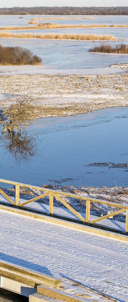 10 000 hektaril on konkreetne sisu. Näiteks taastame 7500 hektari ulatuses soode veerežiimi ja 2000 hektari ulatuses poollooduslikke kooslusi.