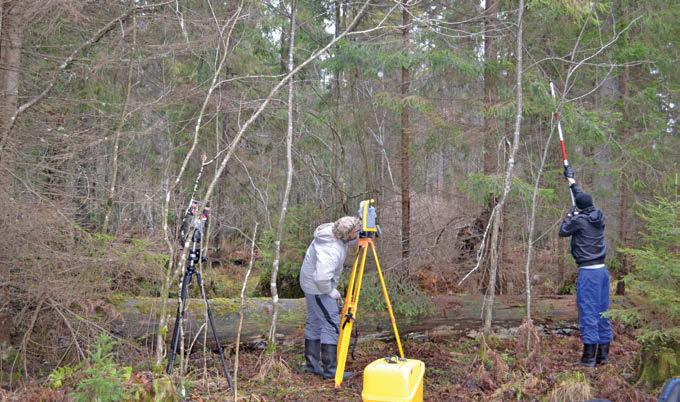 2 x foto: Ahto Kangur Kõrge kuuse mõõtmine elektrontahhümeetriga. Kõrgete puude mõõtmisel on parima tulemuse saamiseks vajalik minna mõõdetavast puust võimalikult kaugele.