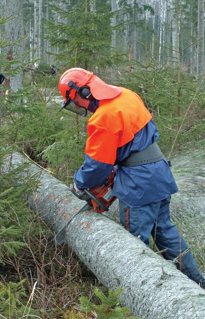 Kompetentsid sisaldavadki teadmistele lisaks hoiakuid, suhtumisi, võimeid ja eeldusi ehk valmidust oma oskusi kasutada. Kompetentsid avalduvad reaalses käitumises ka valmidus üksi ei maksa midagi.