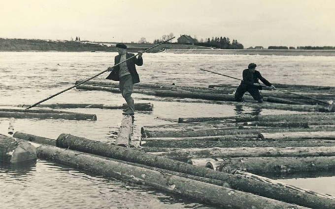 Selleks määratleti riigimetsade paiknemist, suurust, olemit ja kohaliku metsakasutuse ulatust arvestades metskonnad, kelle poole peavalitsus pöördus 21. juunil 1924. aastal juba konkreetsemalt.