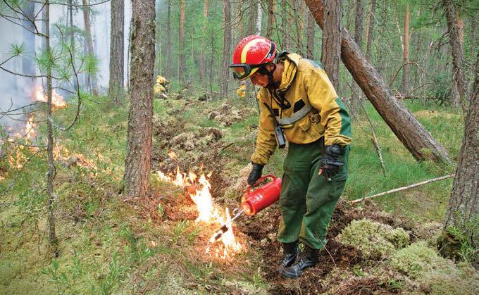 Ka kevad on olnud soodne, kuigi ilm on soojenenud aeglaselt, ütles Taimi-Tapio OY Vierumäe taimeaia juhataja Joukko Kiviharju.