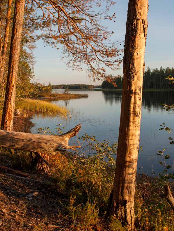 HYVINVOINTIA luonnosta KOKOUSPAKETIT kaikkiin tarpeisiin Uutuus PARISUHTEEN HEMMOTTELUPAKETTI Anna aikaa parisuhteelle hemmotteluun luonnonrauhassa Kuumussa.