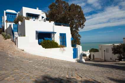 TUNIS & KARTHAGO Vierailemme Karthagossa ja Tunisin vanhassa kaupungissa medinassa sekä viehättävässä, pienessä Sidi Bou Saidin kylässä.