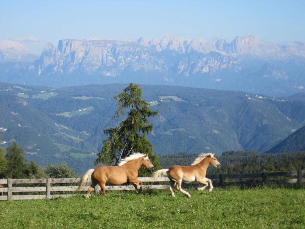 2018 Bozen, Jenesien, Verona, Garda-järvi tarkoittaa mahtavia maisemia, hyvää ruokaa