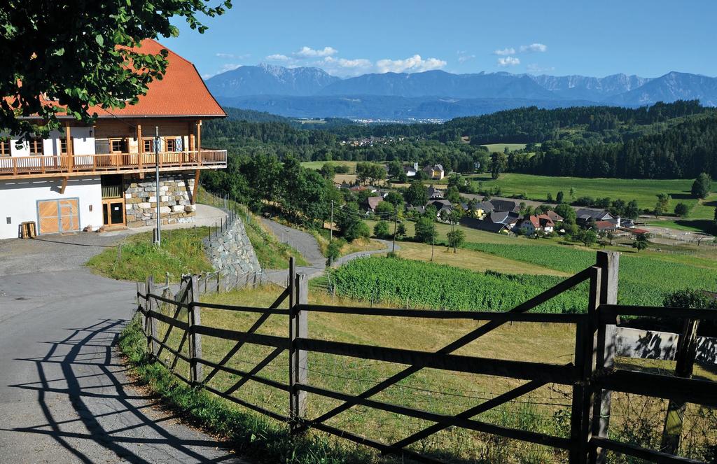 ITÄVALTA ITÄVALTA Sektkellerei Szigeti Mayer am Pfarrplatz SEKTKELLEREI SZIGETI 770958 Szigeti Grüner Veltliner Brut Grüner Veltliner Neusiedler See 12 0,375 9,59 11,89 770072 Pinot Noir Rose Brut