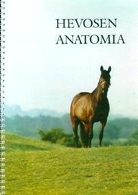 Lataa Hevosen anatomia - Björn Sandgren Lataa Kirjailija: Björn Sandgren ISBN: 9789529056613 Sivumäärä: 78 Formaatti: PDF Tiedoston koko: 10.