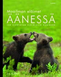 Lataa Maailman eläimet äänessä - Jan Pedersen Lataa Kirjailija: Jan Pedersen ISBN: 9789513162337 Sivumäärä: 263 Formaatti: PDF Tiedoston koko: 12.