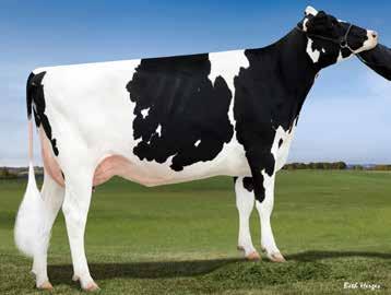 Snowman Socrates IB +24 Jälkeläisarvosteltu Dragster Doorman Billion +20 Legendary Damaris Cameron Sound System Silver Supersire Axel Supershot AltaJackman Arrow Silver Supersire