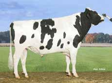 VH Booth HOL 96809 I:Beacon II: P Shottle EI:Planet EEI: P Shottle Loistava tuotos Vähäiset solut Paksut vetimet NTM +26 Tuotosindeksi: 128 Varm.