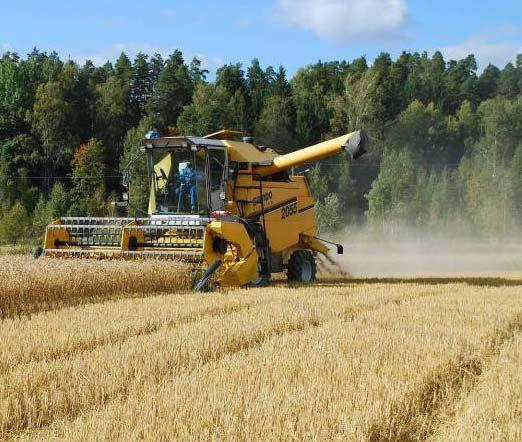 koetoiminta Maatila Leipävehnä, rapsi, härkäpapu Mallasohra, rehuohra,