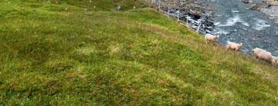 Auf dem Weg zur Baalsrudhula erleben Sie das Manndalen mi seinen Almen und seil aufragenden Bergen. Vom Ende der Sraße wandern Sie alaufwärs und folgen dabei dem Fluss.