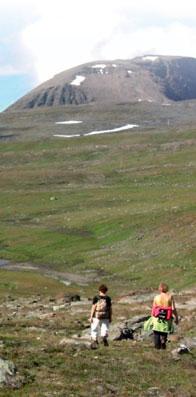 Folgen Sie dann dem gu zu erkennenden und ausgebauen Weg und dem markieren Lavkarie Wanderweg. Es geh langsam bergauf bis über die Baumgrenze. Nach 6 km überqueren Sie eine ale Holzbrücke.