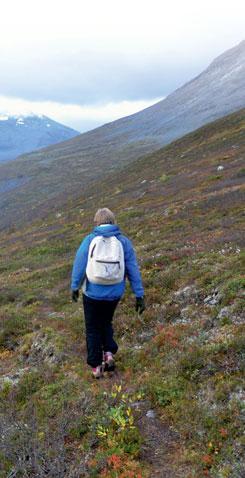 Im innersen Signaldalen/Čiekŋalvuovdi, können Sie auf dem sogenannen «Tyskveien Deuscher Weg» vom Tal bis hinauf ins Fjell wandern.