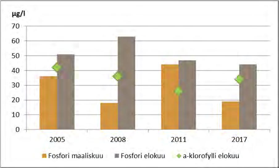 Kesäajan fosforipitoisuus oli talvea korkeampi, sillä vesi oli sameampaa ja kiintoainekseen on myös sitoutunut fosforia.